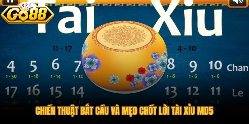 Chiến thuật bắt cầu tài xỉu MD5 kèm nguyên tắc dừng lỗ và chốt lời