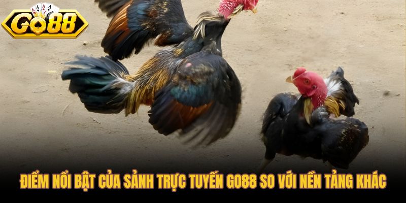 Sảnh đá gà Go88 với giao diện gọn và tốc độ cập nhật tỷ lệ nhanh