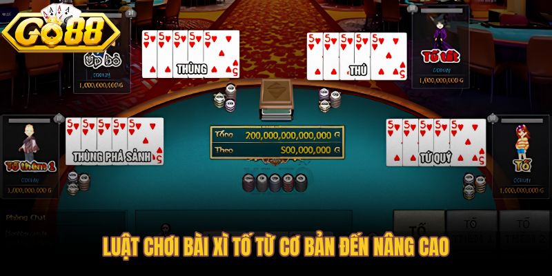 Luật chơi bài xì tố từ nhịp vòng cược đến quyết định gây áp lực