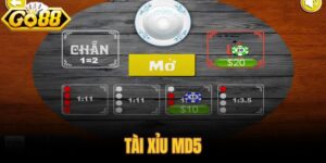 Tài xỉu MD5
