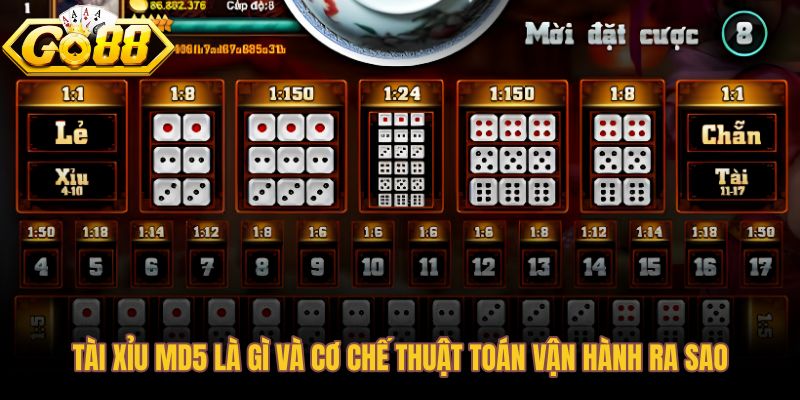 Cơ chế mã băm trong tài xỉu MD5 và lớp kiểm chứng sau ván
